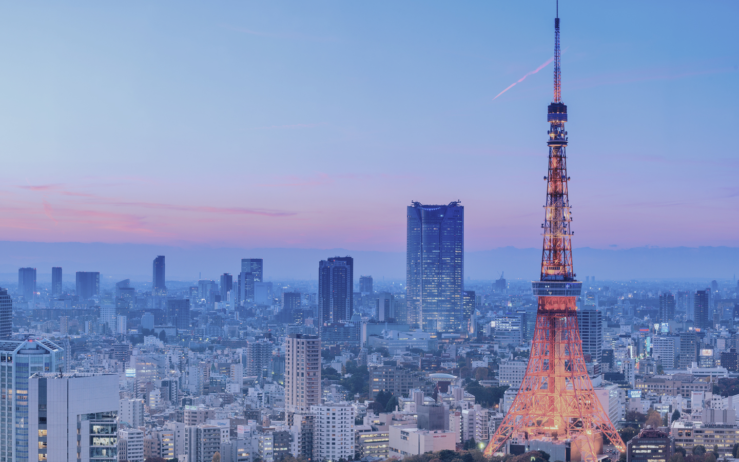 市場で低評価されている物件の再生の道を開く。